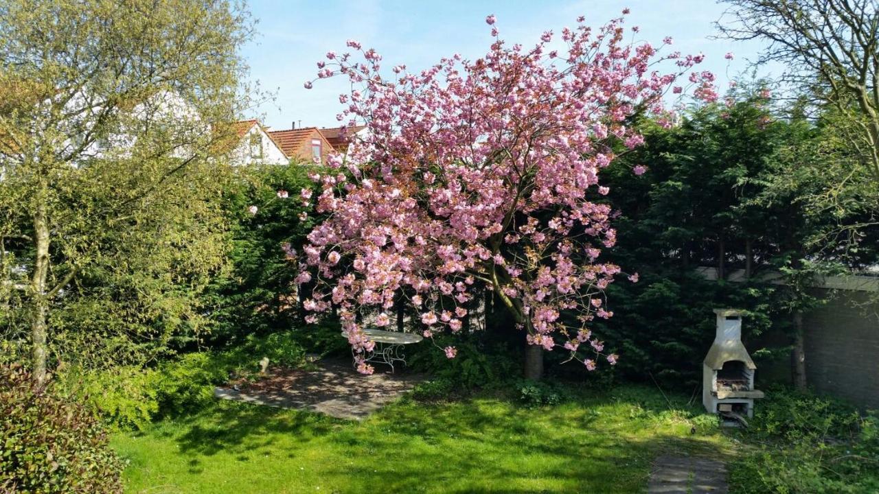 Kapiteinshuis Breskens Buitenkant foto